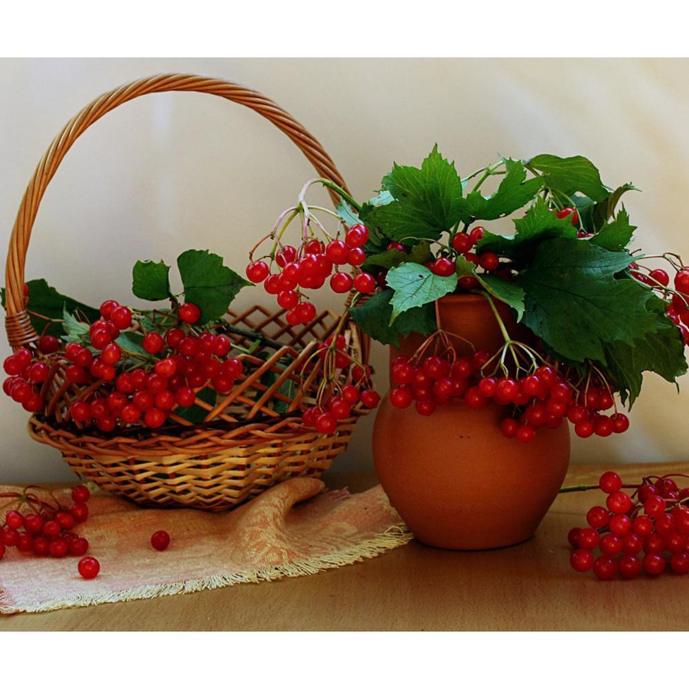 Fruit - peinture en diamant complet - 40x30cm