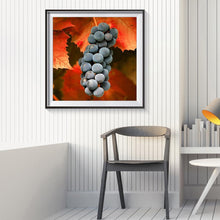 Charger l&#39;image dans la galerie, Raisins doux - peinture en diamant complet - 30x30cm
