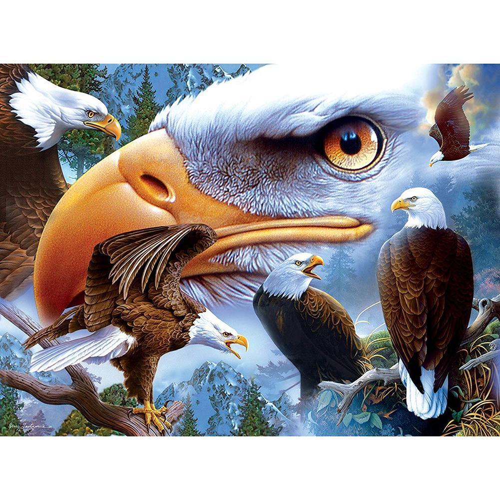 Aigle - peinture en diamant complet - 30x40cm