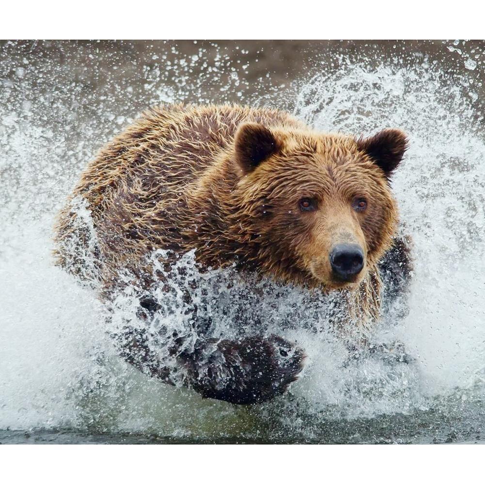 Animal - peinture en diamant complet - 30x40cm