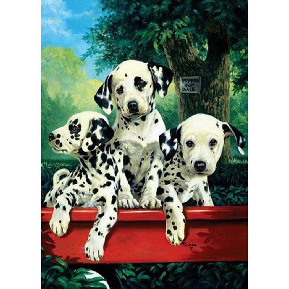 Chien - peinture en diamant complet - 30x40cm
