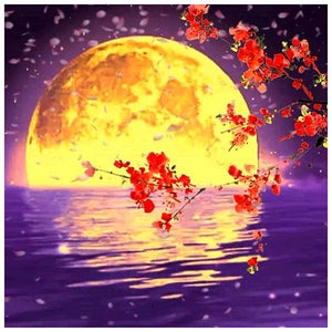 Lune - peinture en diamant complet - 30x30cm
