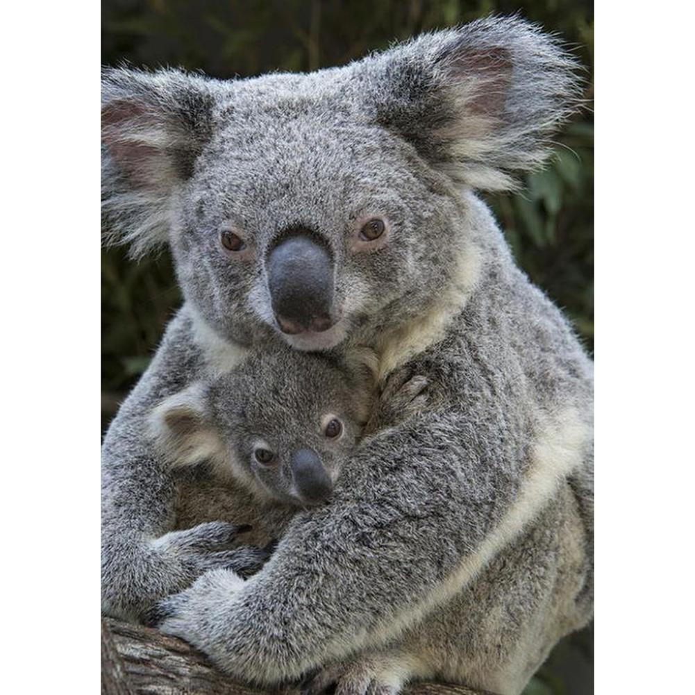 Koala mignon - peinture complète de diamant - 30x40cm