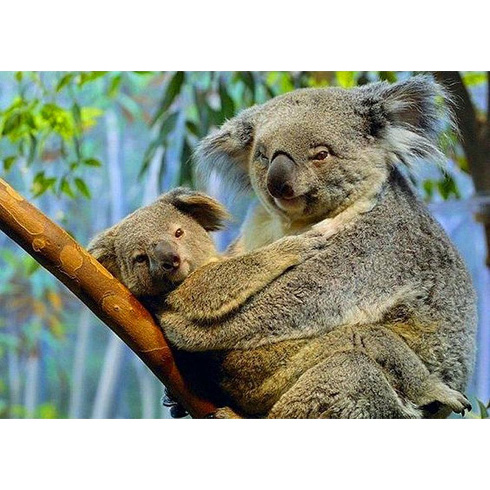 Koala - peinture en diamant complet - 40x30cm