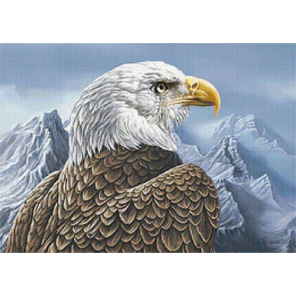 Aigle - peinture en diamant complet - 30x40cm