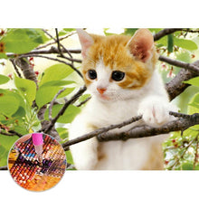Charger l&#39;image dans la galerie, Chat - peinture en diamant complet - 30x40cm

