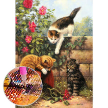 Charger l&#39;image dans la galerie, Chats - peinture en diamant complet - 30x40cm

