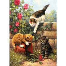 Charger l&#39;image dans la galerie, Chats - peinture en diamant complet - 30x40cm
