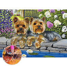 Charger l&#39;image dans la galerie, Chiens de fleur - peinture de diamant complète - 30x40cm
