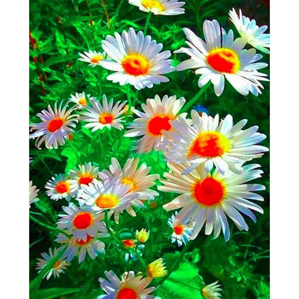 Fleur de couleur - peinture de diamant complète - 30x40cm