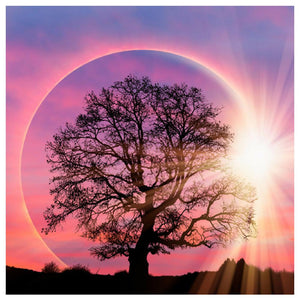 Lune d’arbre - peinture de diamant plein - 30x30cm
