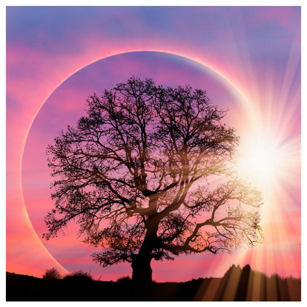 Lune d’arbre - peinture de diamant plein - 30x30cm