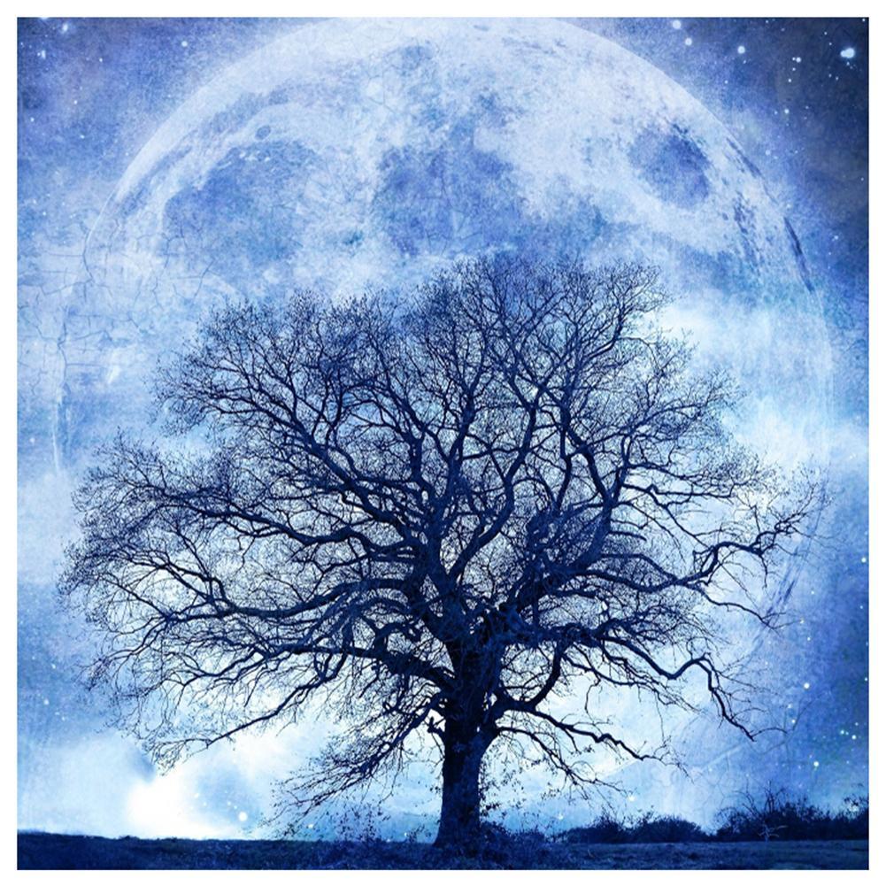 Lune d’arbre - peinture de diamant plein - 30x30cm