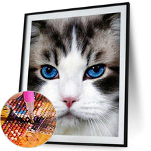 Charger l&#39;image dans la galerie, Chat - peinture en diamant complet - 30x40cm
