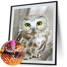 Charger l&#39;image dans la galerie, de hibou - peinture diamant pleine - 30x40cm
