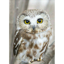 Charger l&#39;image dans la galerie, de hibou - peinture diamant pleine - 30x40cm
