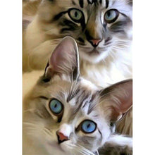 Charger l&#39;image dans la galerie, Chat - peinture en diamant complet - 30x40cm
