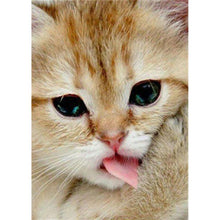 Charger l&#39;image dans la galerie, Chat - peinture en diamant complet - 30x40cm
