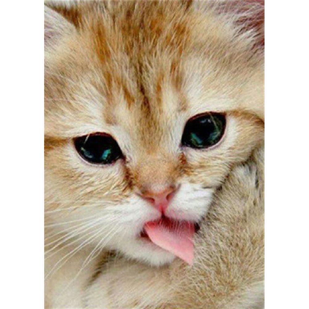 Chat - peinture en diamant complet - 30x40cm