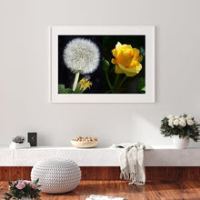 Charger l&#39;image dans la galerie, Pissenlit de point de croix - peinture complète de diamant - 30x40cm
