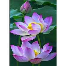 Charger l&#39;image dans la galerie, LotusFull ensemble - peinture diamant complet - 40x30cm
