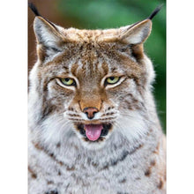 Charger l&#39;image dans la galerie, Animal - peinture en diamant complet - 30x40cm
