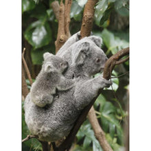 Charger l&#39;image dans la galerie, Koala mignon complet - peinture complète de diamant - 30x40cm
