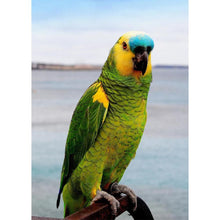 Charger l&#39;image dans la galerie, Oiseau mignon - peinture complète de diamant - 30x40cm
