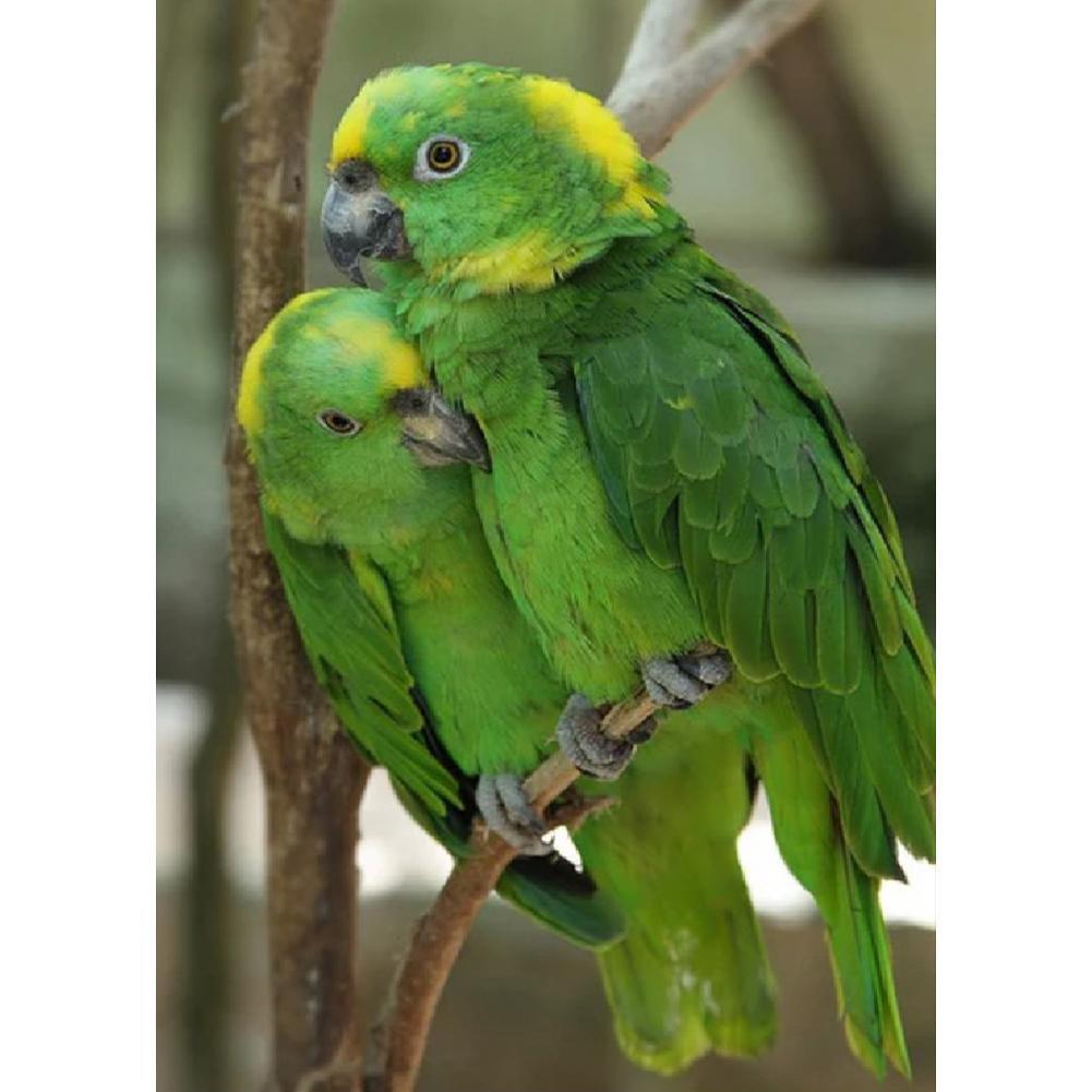 Oiseau mignon - peinture complète de diamant - 30x40cm