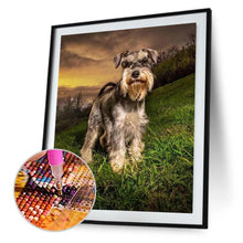 Charger l&#39;image dans la galerie, Chien gris - peinture en diamant complet - 30x40cm
