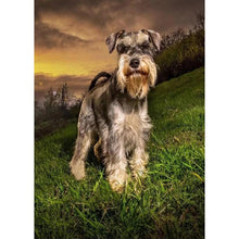 Charger l&#39;image dans la galerie, Chien gris - peinture en diamant complet - 30x40cm
