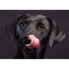 Charger l&#39;image dans la galerie, Dogpictures noirs - peinture en diamant complet - 40x30cm
