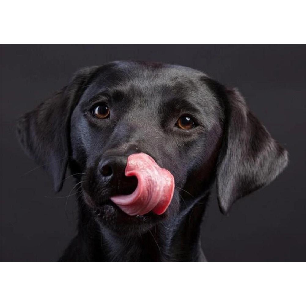 Dogpictures noirs - peinture en diamant complet - 40x30cm