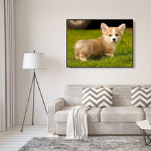 Charger l&#39;image dans la galerie, PuppyPictures - peinture diamant - 40x30cm
