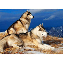 Charger l&#39;image dans la galerie, Deux dogspictures - peinture diamant pleine - 40x30cm
