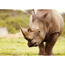 Charger l&#39;image dans la galerie, Rhinoceros - peinture en diamant complet - 40x30cm
