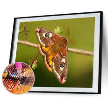 Charger l&#39;image dans la galerie, Emperor mothart - peinture en diamant complet - 40x30cm

