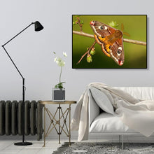 Charger l&#39;image dans la galerie, Emperor mothart - peinture en diamant complet - 40x30cm
