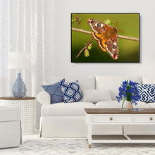 Charger l&#39;image dans la galerie, Emperor mothart - peinture en diamant complet - 40x30cm

