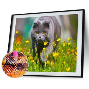 Walking catanimal - peinture diamant pleine - 40x30cm