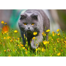 Charger l&#39;image dans la galerie, Walking catanimal - peinture diamant pleine - 40x30cm
