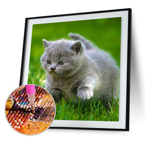 Animal de chat - peinture complète de diamant - 30x30cm