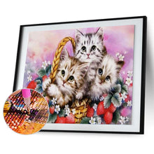 Charger l&#39;image dans la galerie, Beaux petits chats - peinture en diamant complet - 30x40cm
