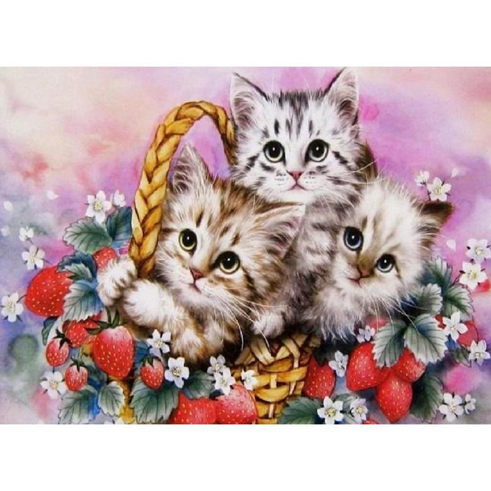 Beaux petits chats - peinture en diamant complet - 30x40cm