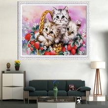 Charger l&#39;image dans la galerie, Beaux petits chats - peinture en diamant complet - 30x40cm
