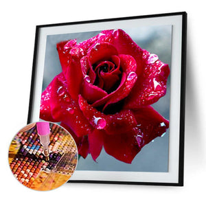 RosesRoom - peinture en diamant complet - 30x30cm