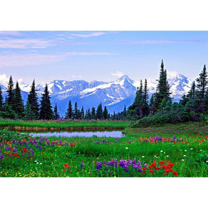 Fleurs de champ - peinture complète de diamant - 40x30cm