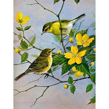Charger l&#39;image dans la galerie, Chating bird - peinture diamant pleine - 40x30cm

