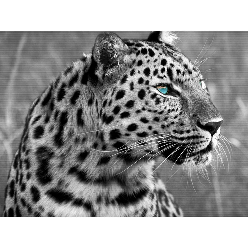 Stare léopard - peinture diamant pleine - 40x30cm