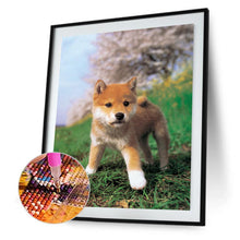Charger l&#39;image dans la galerie, Chien curieux - peinture en diamant complet - 40x30cm
